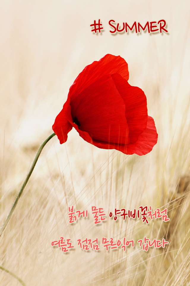MMS Ȱ 