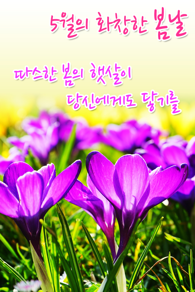 MMS Ȱ 