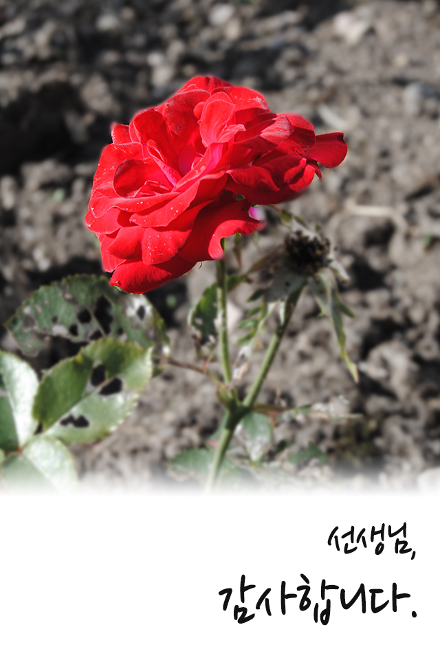 MMS Ȱ 